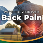 Back Pain